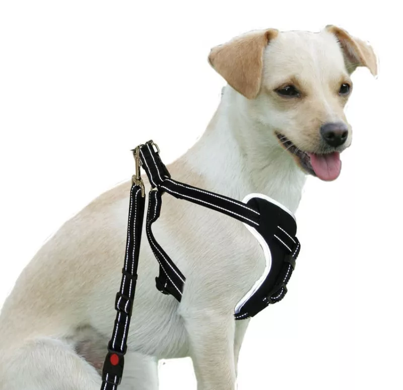 Sicherheitsgeschirr DogSafe, Gr. M, sw